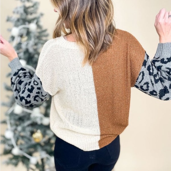 Charcoal Animal Print V-Neck Colorblock Knit Sweater, wore once, size L - Picture 15 of 15